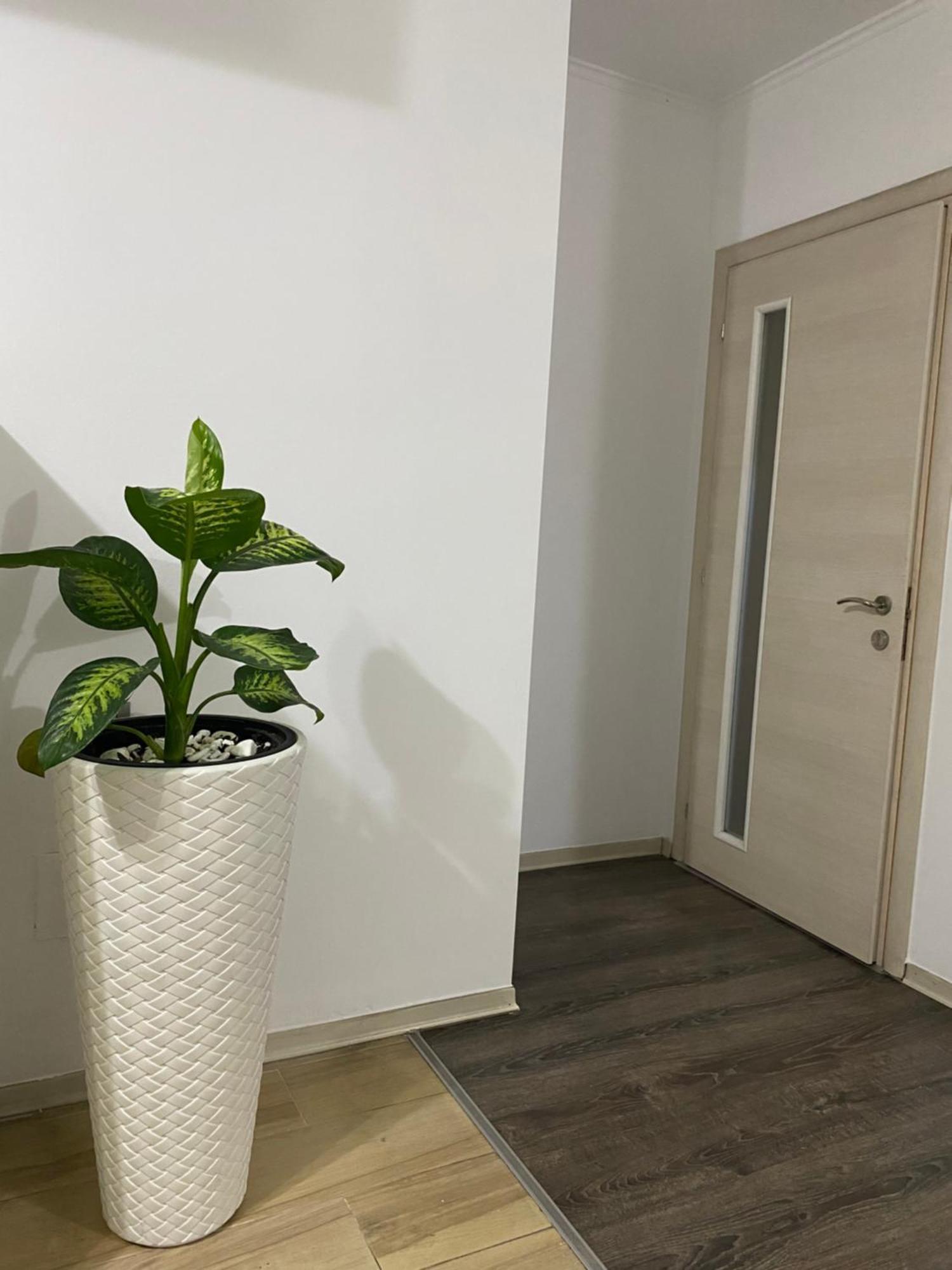 Main Apartment Tirana Bagian luar foto